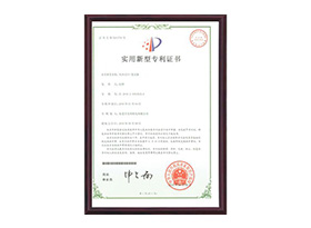 实用新型专利证书10